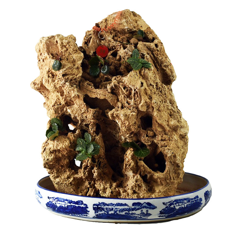 20-30cm精品吸水石上水石原石假山水秀石盆景微景观赏奇鱼缸造,鲜花速递/花卉仿真/绿植园艺,其它园艺用品,淘宝优惠券,粉丝福利购,淘宝优惠卷