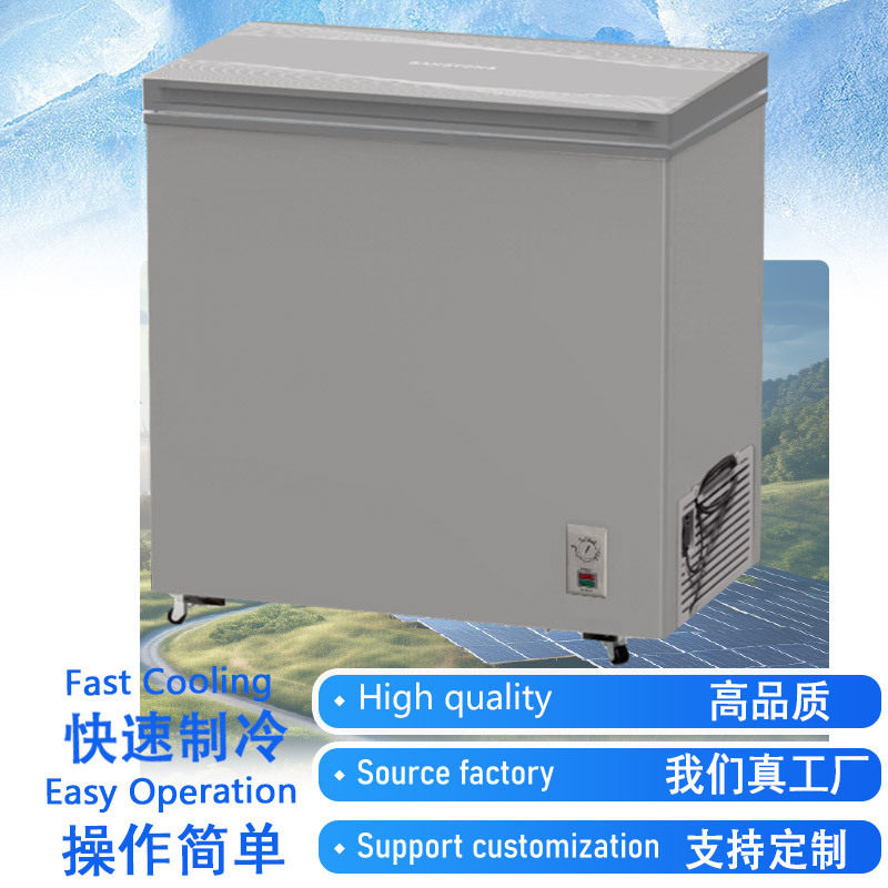 冷柜冰箱冰柜商用Freezer大容量古典金色+彩金玻璃门+电子温控