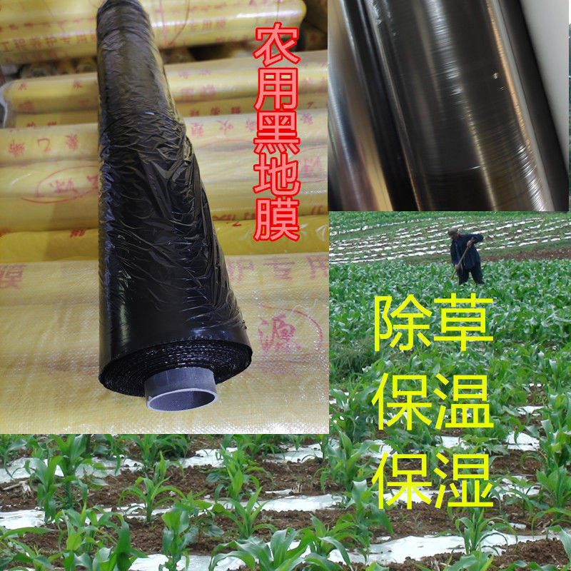 农用保温湿塑料薄膜胶纸防除草黑色地膜黑地膜建筑蔬菜草莓西瓜膜