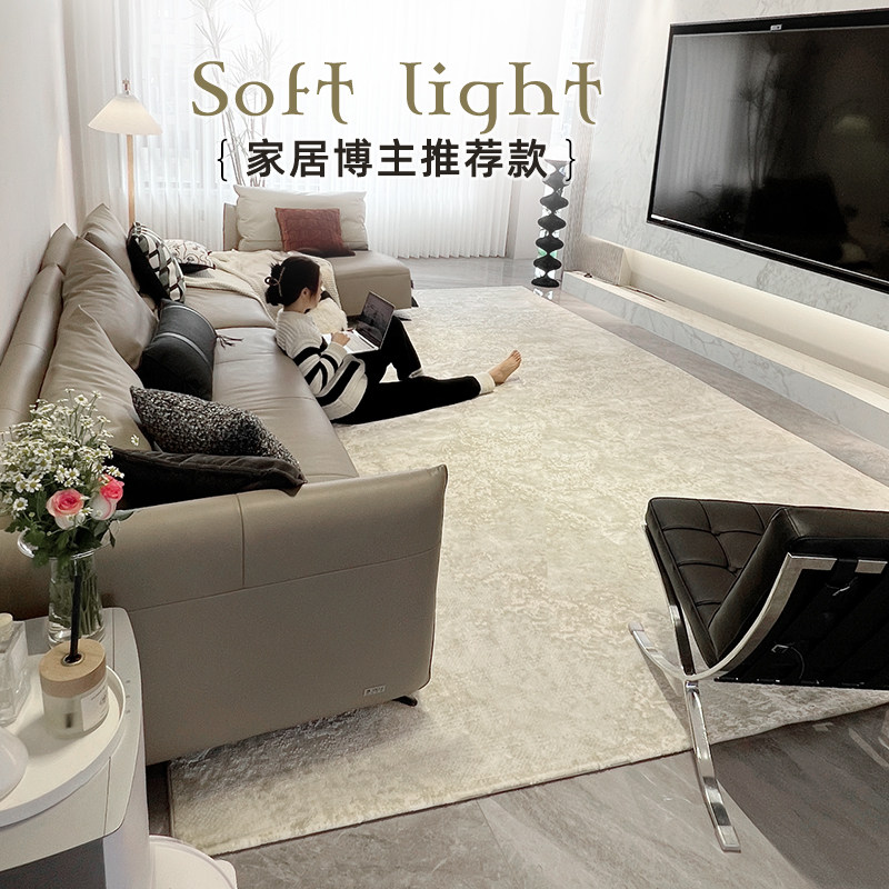 土耳其进口客厅地毯意式极简侘寂风沙发茶几垫卧室床边毯现代简约