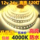 24v4000K高亮12v8mm防水120珠中性光4500K自然白太阳光led灯带条