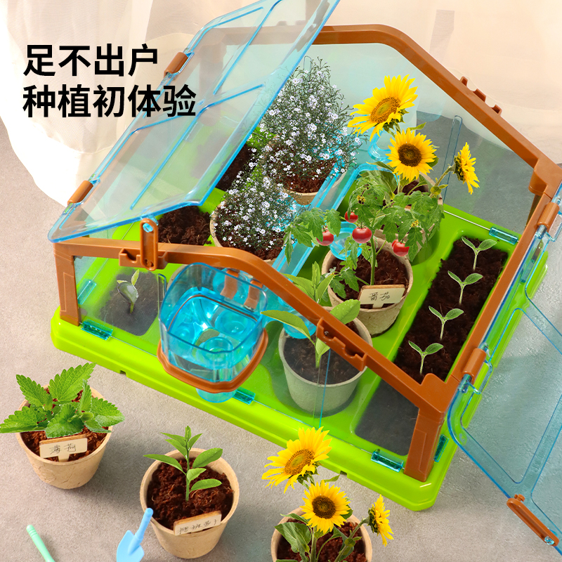 儿童种植阳光房科学小实验迷你DIY房子种菜植物玩具套装亲自互动