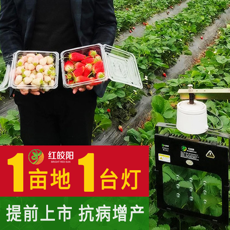 大棚草莓蔬菜增温室专用激光补光灯全光谱花卉育苗植物工厂生长灯