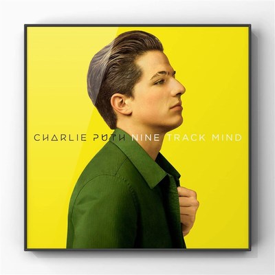 Charlie Puth断眉查理普斯专辑装饰画卧室客厅挂画摆画壁画空白墙