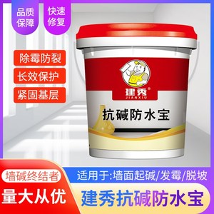 建秀抗碱防水宝室内墙面反碱抗碱王墙壁起碱防潮返碱克星除碱剂