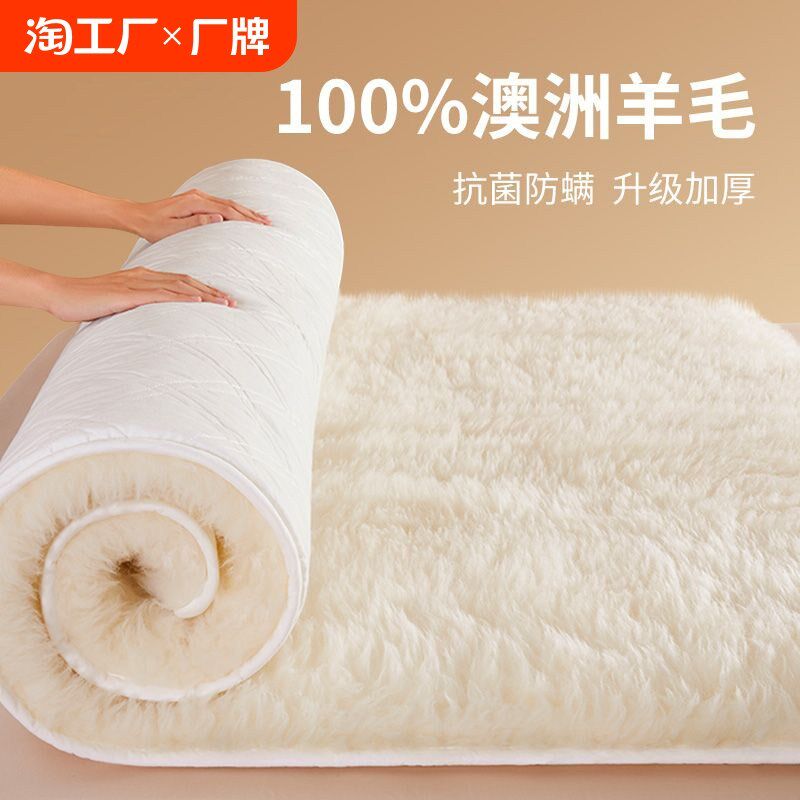羊毛床垫软垫家用卧室冬季澳洲羊毛毯单人冬天加厚保暖垫被床褥子
