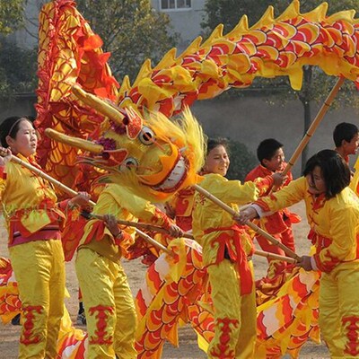 儿童舞龙学生舞龙5号8寸龙儿童舞龙道具7-14岁舞龙舞狮舞龙道具