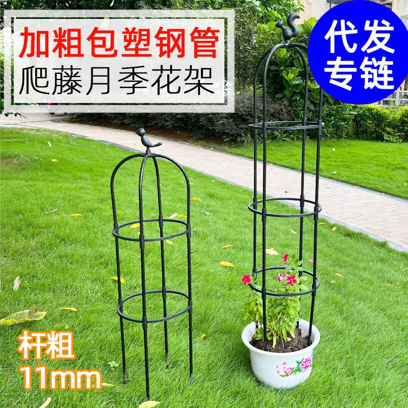 花架爬藤架子铁线莲月季花支架花盆植物攀爬支架室内山乌龟支撑杆
