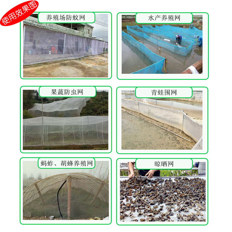 1目20目30目目蚂蚱蜜蜂胡蜂养殖网大棚防虫网晾晒网猪场防蚊网