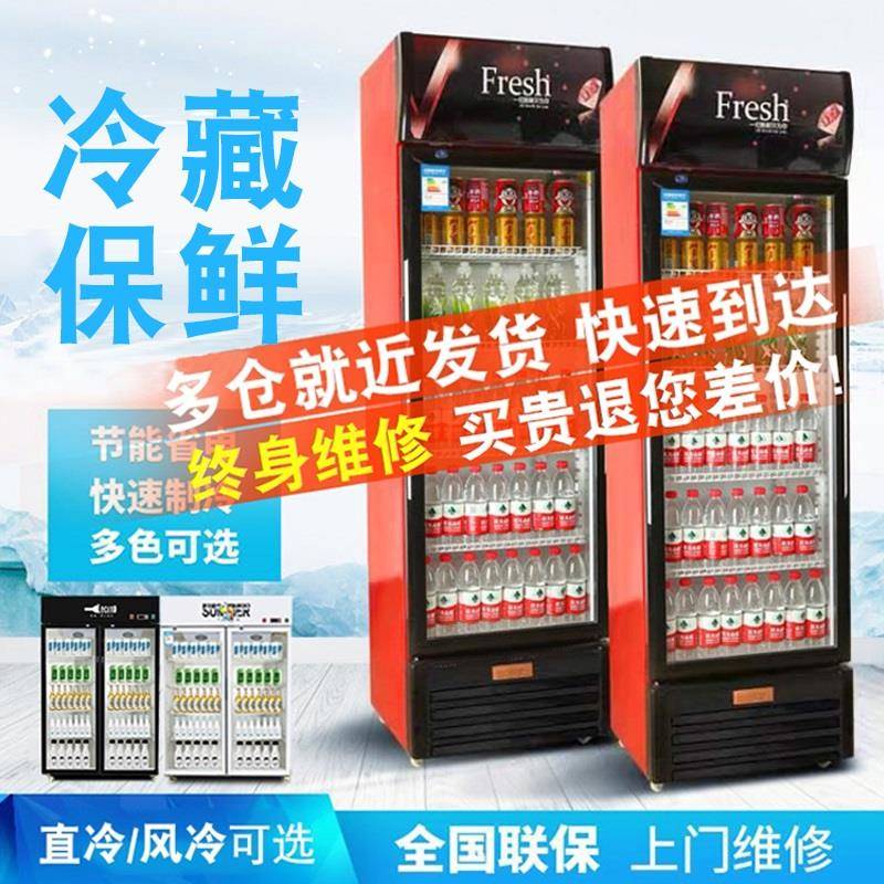 蔬菜超市立式冰柜商用双门饮料柜啤酒展示柜冷藏柜冰箱柜单保鲜柜