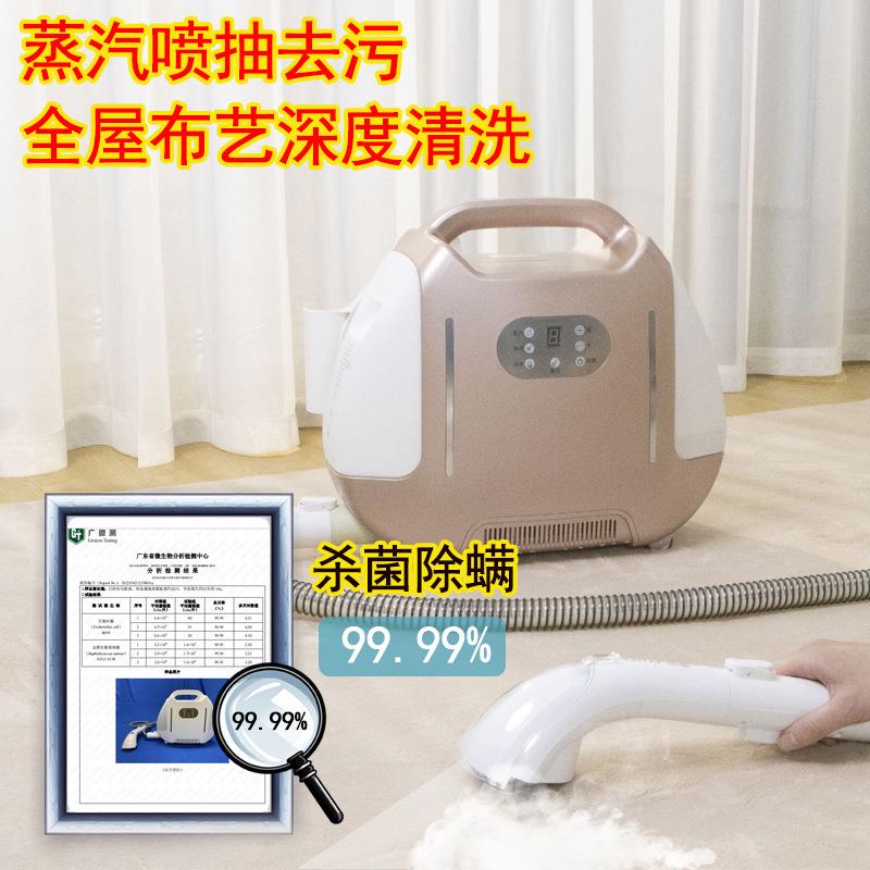 现货多功能蒸汽清洗机小型喷抽布艺清洗机沙发厨房空调清洗设备