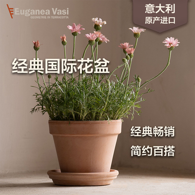EV陶盆进口经典国际盆意大利天然陶土透水透气花盆家用大口径花盆