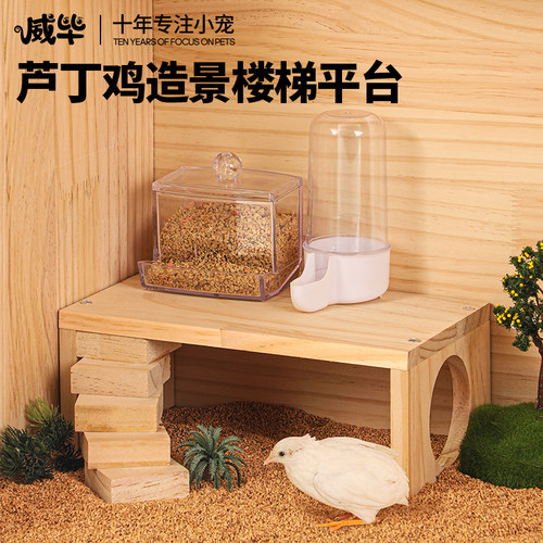 芦丁鸡造景用品卢丁鸡宠物饲养用品置物架多功能喂食器食盒水壶架