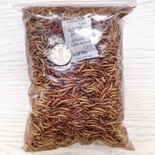 宠物零食仓鼠粮观赏鱼面包虫干500克黄粉虫饲料营养仓鼠粮食冻干1