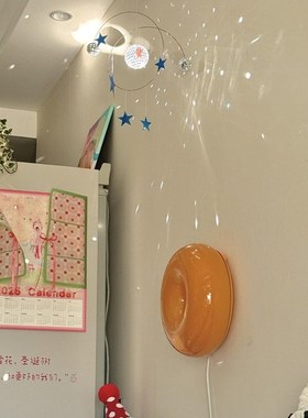 新家的100个快递星空反光球客厅装饰摆件房间改造小物件家居