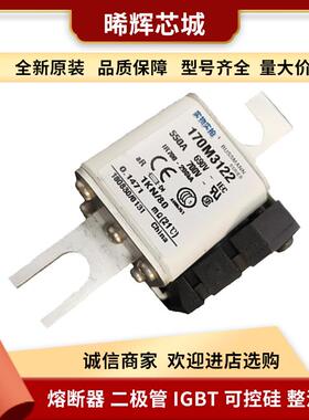 170M3418 170M3419 库存充足 型号齐全直流快速熔断器现货