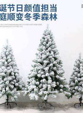 圣诞白色仿真人造雪植绒雪松树1.2米1.5米2米3米雪景带灯款可选