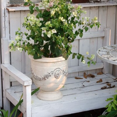 复古红陶做旧白奖杯大号花盆麦穗浮雕透水透气种绣球月季粗陶花园