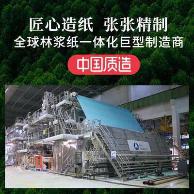 亚太森博拷贝可乐卓锦考拉A4批量打印复印纸白纸5箱装25包12500张