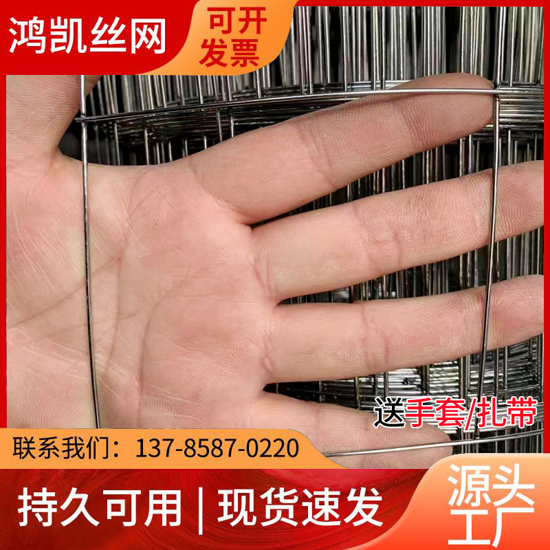 大孔镀锌电焊铁丝网装玉米网山地果园围栏网防锈养殖铁网格网整卷