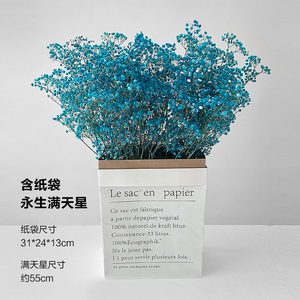 云南永生满天星花束干花装饰真花客厅家居摆设真花风干小清新