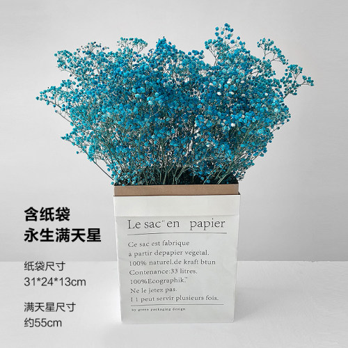 云南永生满天星花束干花装饰真花客厅家居摆设真花风干小清新