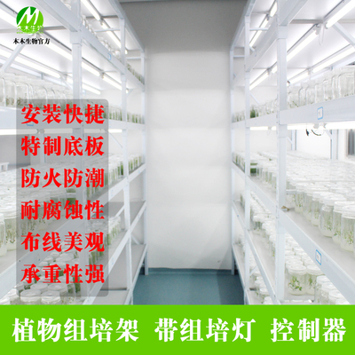 木木生物 植物光照培养架T5灯组培架子 层高可调育苗架实验室架子