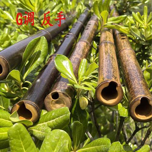 正品竹老料专业纯手工精制古风8孔洞GF调乐器紫学送箫陈悦教学视