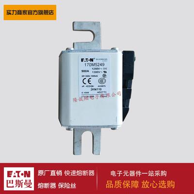 熔断器170M5249 170M5250 170M6238 170M6239 170M6240 170M6241