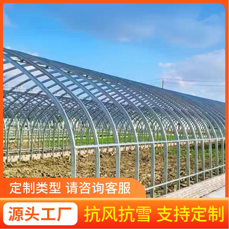 大棚骨架钢管全套蔬菜种植养殖猪牛鸡椭圆管半坡暖棚保温钢架连栋
