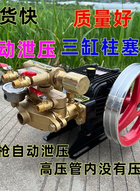 农用打药泵/园林机械设备/机动喷雾器雾化消毒机养殖场清洗26泵
