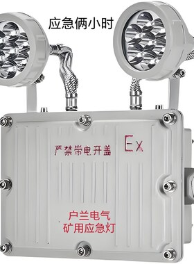 矿用防爆双头应急灯127V110V应急灯指示BCJ52防爆应急灯DC24V36V