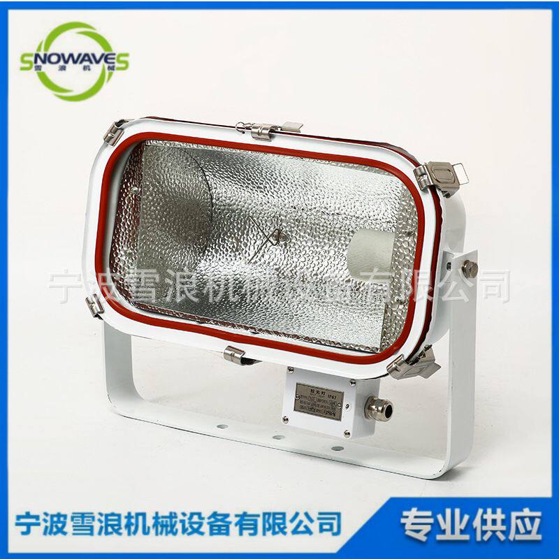 TG5船用投光灯 不锈钢高压钠灯250/400W 甲板照明灯具工厂直销