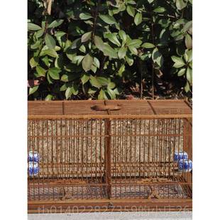 正品双体格水平连排竹方笼小刷清漆活底抽屉金合欢蜡嘴笼和其他鸟