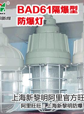 CCD93-III防爆照明灯 新黎明防爆防炫光照明灯具IIC级 供应