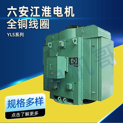 六安江淮电机YLS系列高压三相异步电机全铜线圈55kw75kw厂家直供