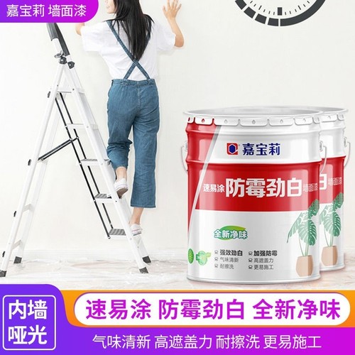嘉宝莉速易涂防霉劲白内墙漆家用净味墙面漆环保水性乳胶漆 哑光