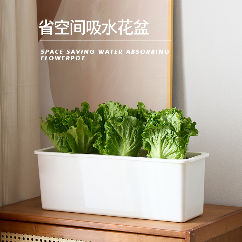 白色懒人自吸水花盆长方形薄荷种菜盆阳台种菜种植香菜草莓专用箱