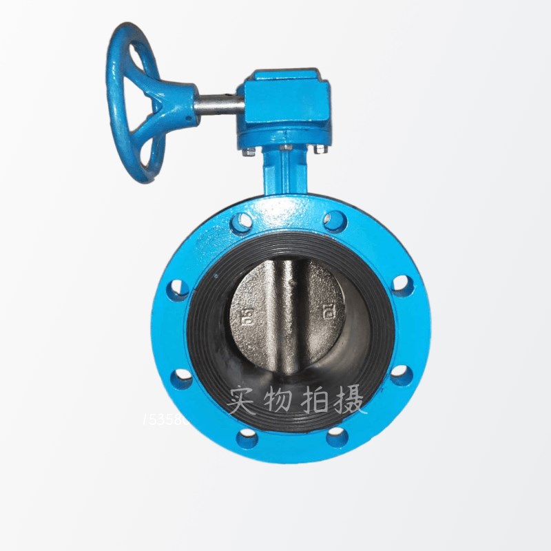 D31X-10/1Q手动涡轮软密封法兰蝶DN100 1 0 300 0 00