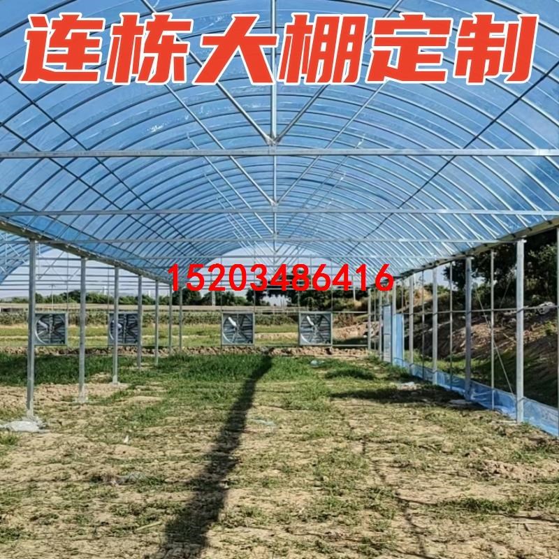 大棚钢管骨架定制温室养殖大棚全蔬菜大棚农业钢架连栋棚种植棚