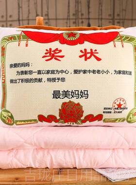 正品教状师节定制奖的抱枕头被子老公漫婆七夕节送男女朋友浪生日