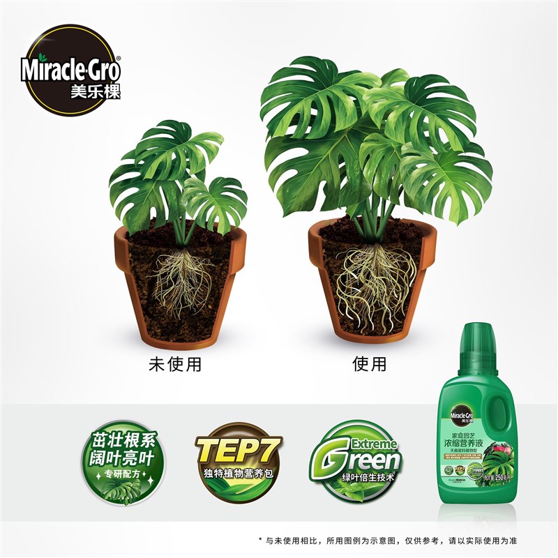 美乐棵天南星科专用营养液海芋彩叶芋花烛竹芋秋海棠春羽绿植肥料