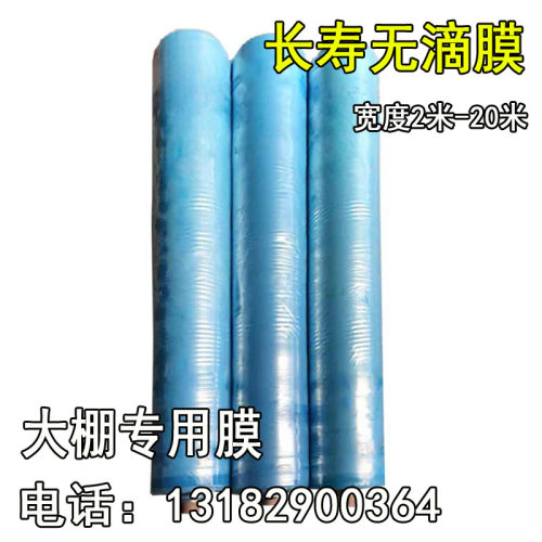 大棚膜无滴膜蓝色加厚透明塑料薄膜纸抗老化农用养殖蔬菜大棚整卷