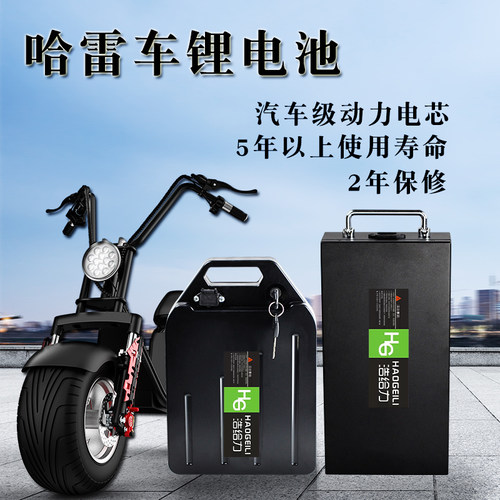 60V12AH20AH哈雷电动车大容量锂电池64V15AHx7X9可拆卸电瓶
