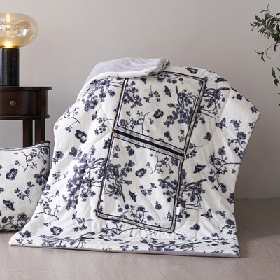 法式冬季两用抱枕被加厚汽车靠垫二合一办公室沙发午睡毛毯