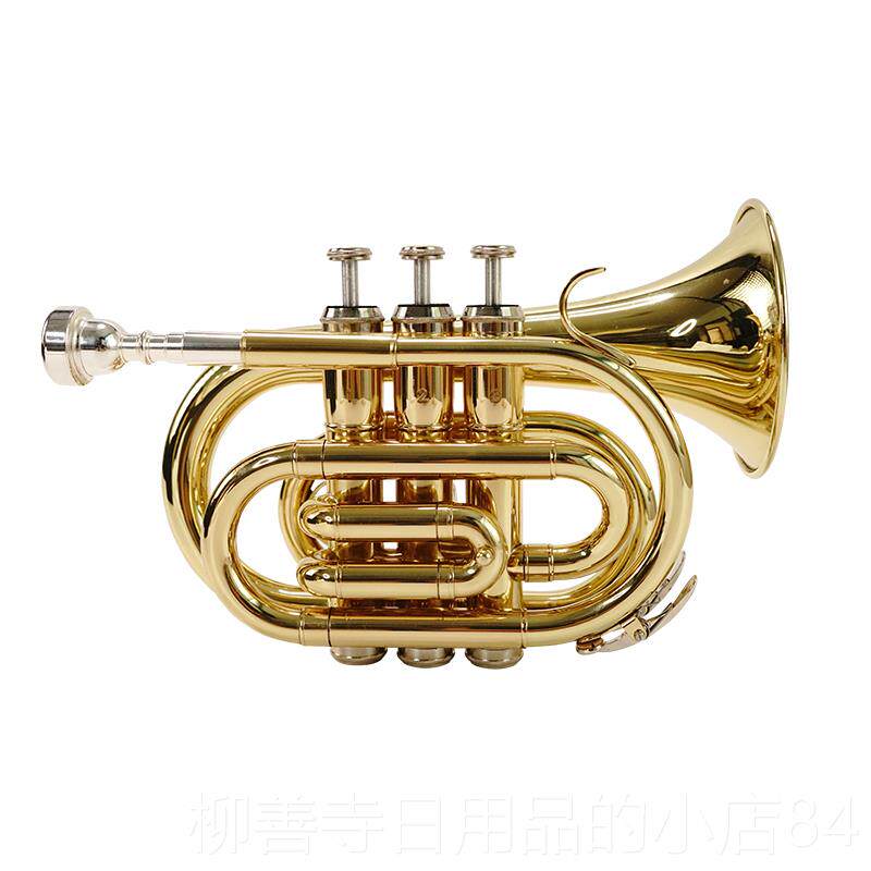 正品猛犸象掌袖珍小号降B号调黄铜乐器手初学学业校乐团教学专演