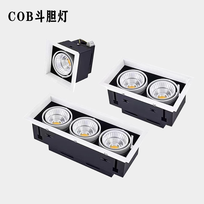 led斗胆灯双头射灯单头三头格栅悬吊式天花板天花孔灯方形嵌入式C