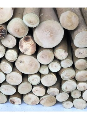 实木带皮圆木片壁炉装饰木柴树桩木材原木装饰木头山茶树木桩摆件