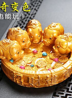 猪年茶庞变色茶宠聚宝盆金猪可爱茶台摆件茶趣可养茶玩小福猪茶宝