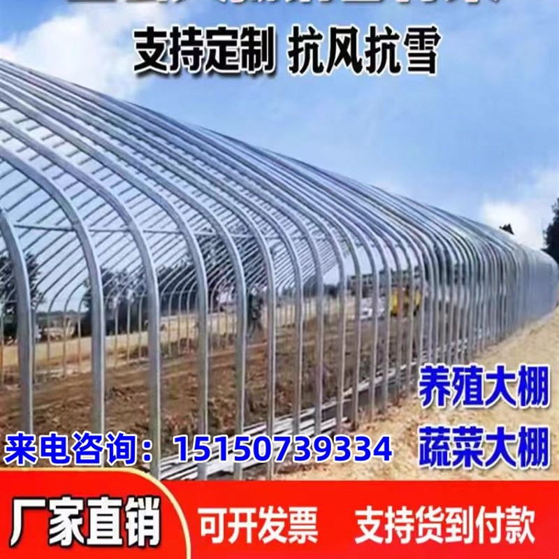 大棚骨架全套养殖大棚种植大棚温室全套养鸡羊猪牛棚蔬菜大棚钢管